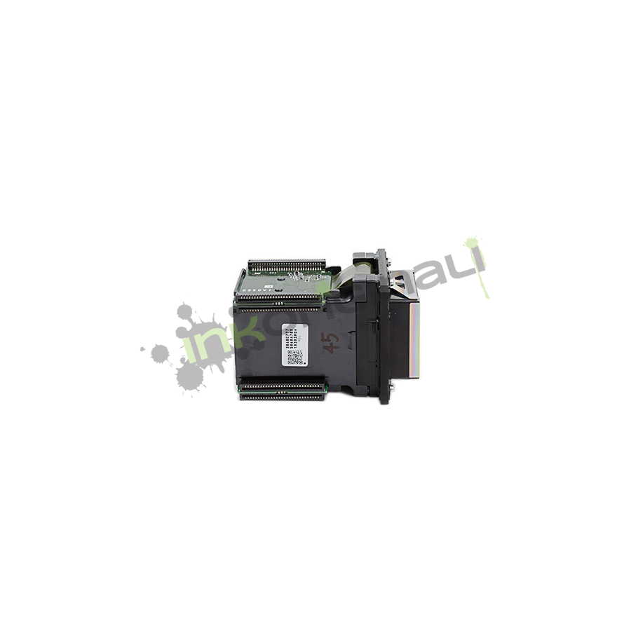 DX6 Printhead Roland