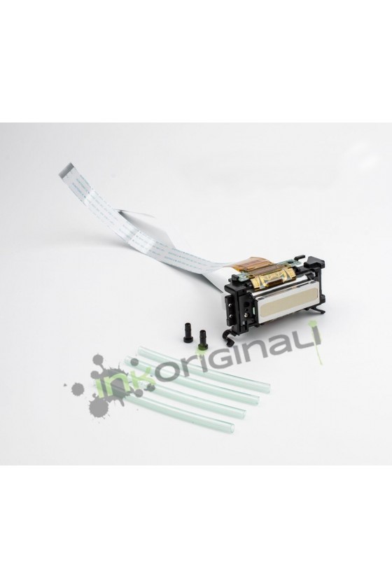 PrintHead Truevis VG /SG
